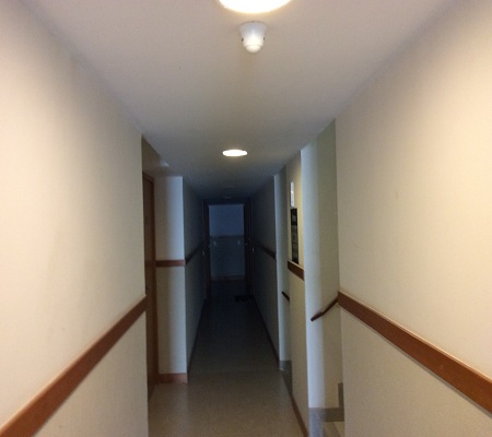 Gallery Image 11